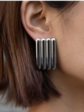 Glossy Striped Silver Color Earrings